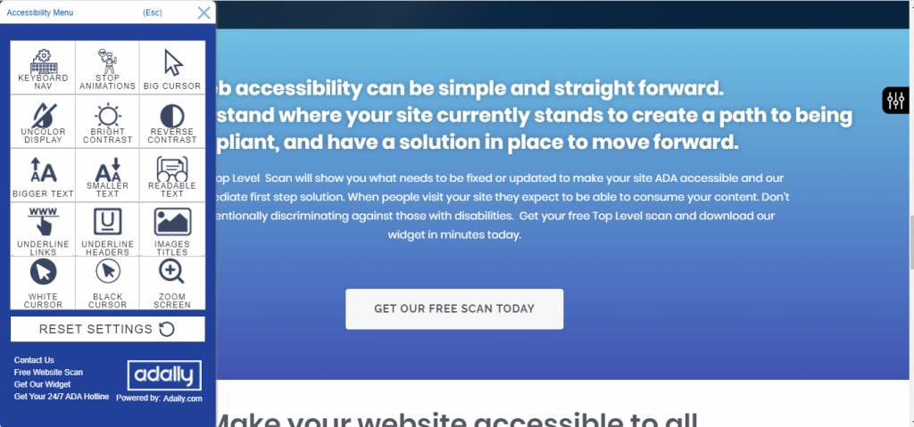 Adally's Accessibility toolbar is opened