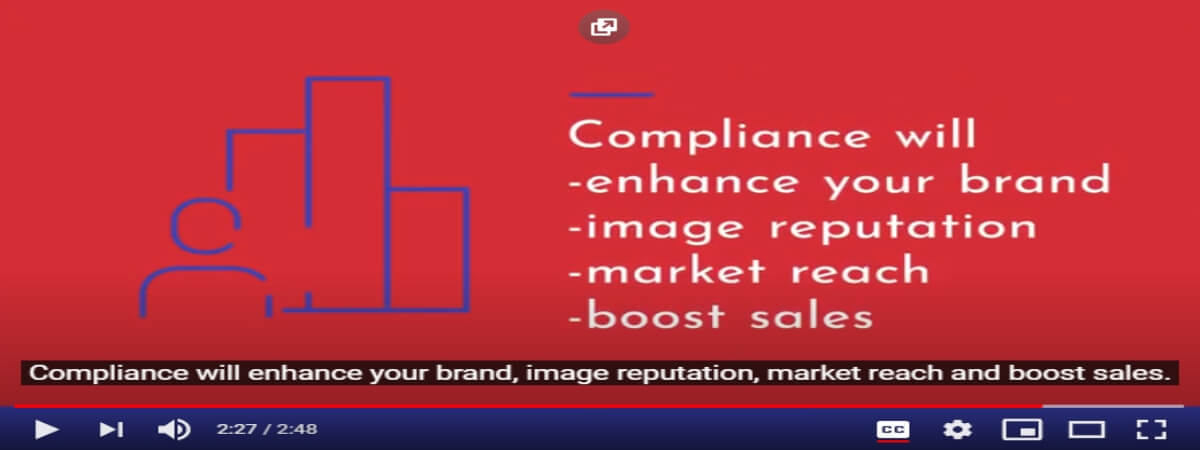 Screenshot of a video playing with the caption function turned on