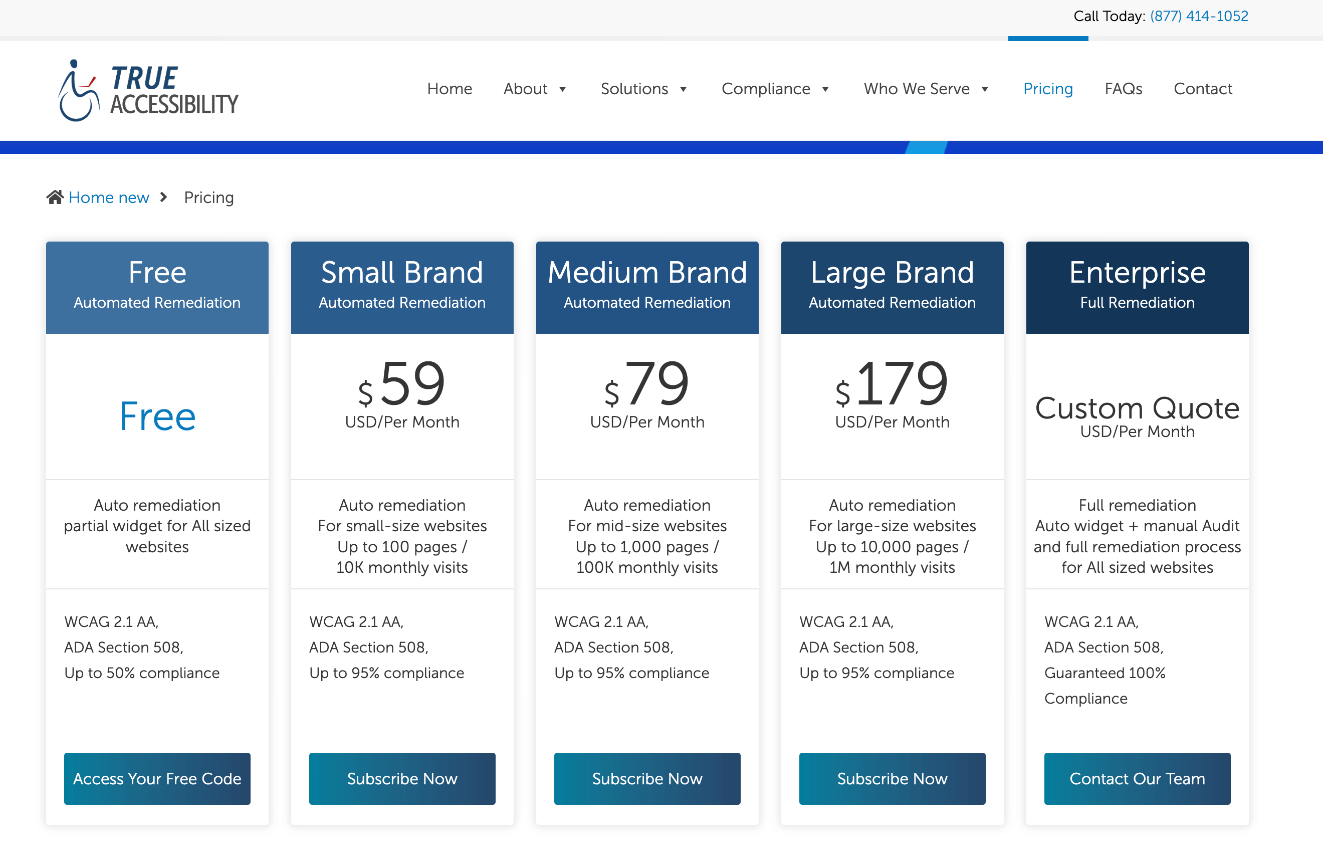 Image highlighting the pricing options for the True Accessibility plugin